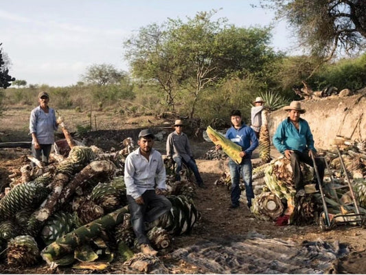 The Logoche Water Project